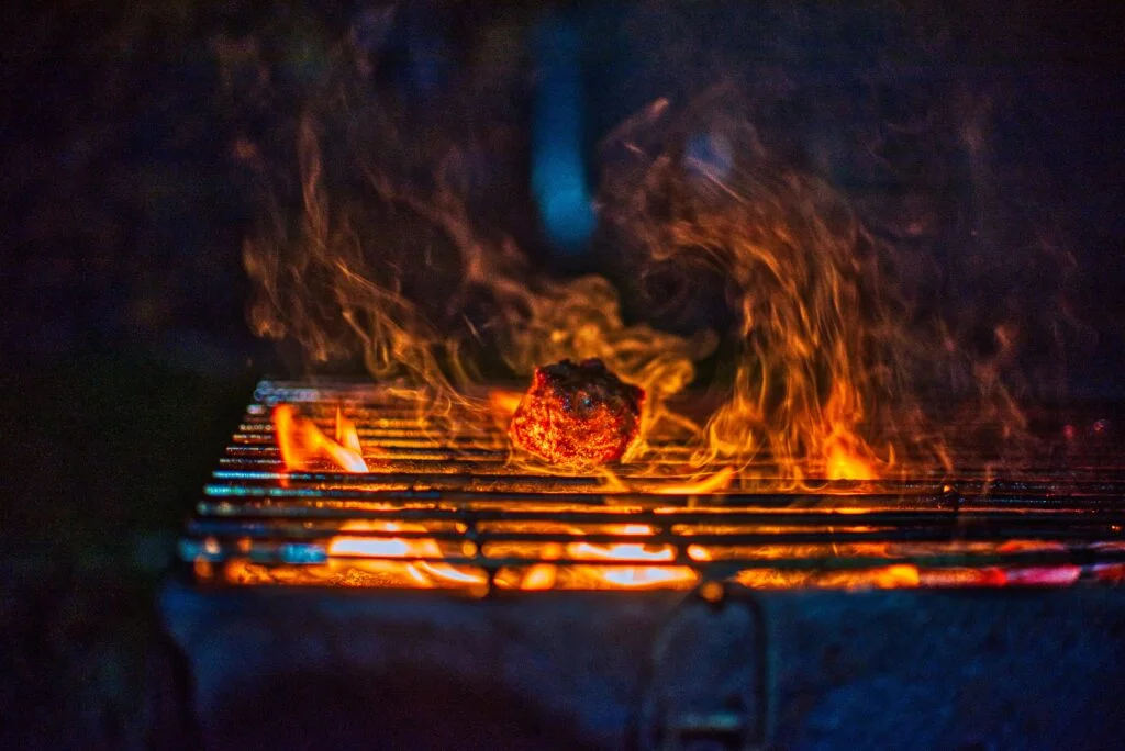 Can I Grill Without Special Tools? Can I Grill Without Special Tools?