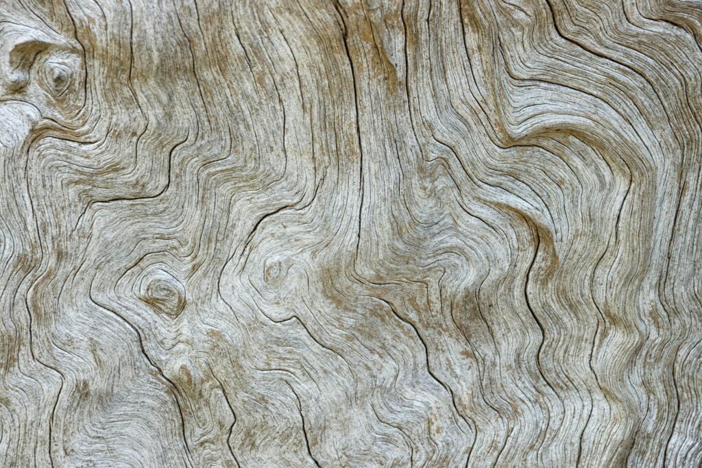 How Do I Season Wood Chips For Smoking? How Do I Season Wood Chips For Smoking?