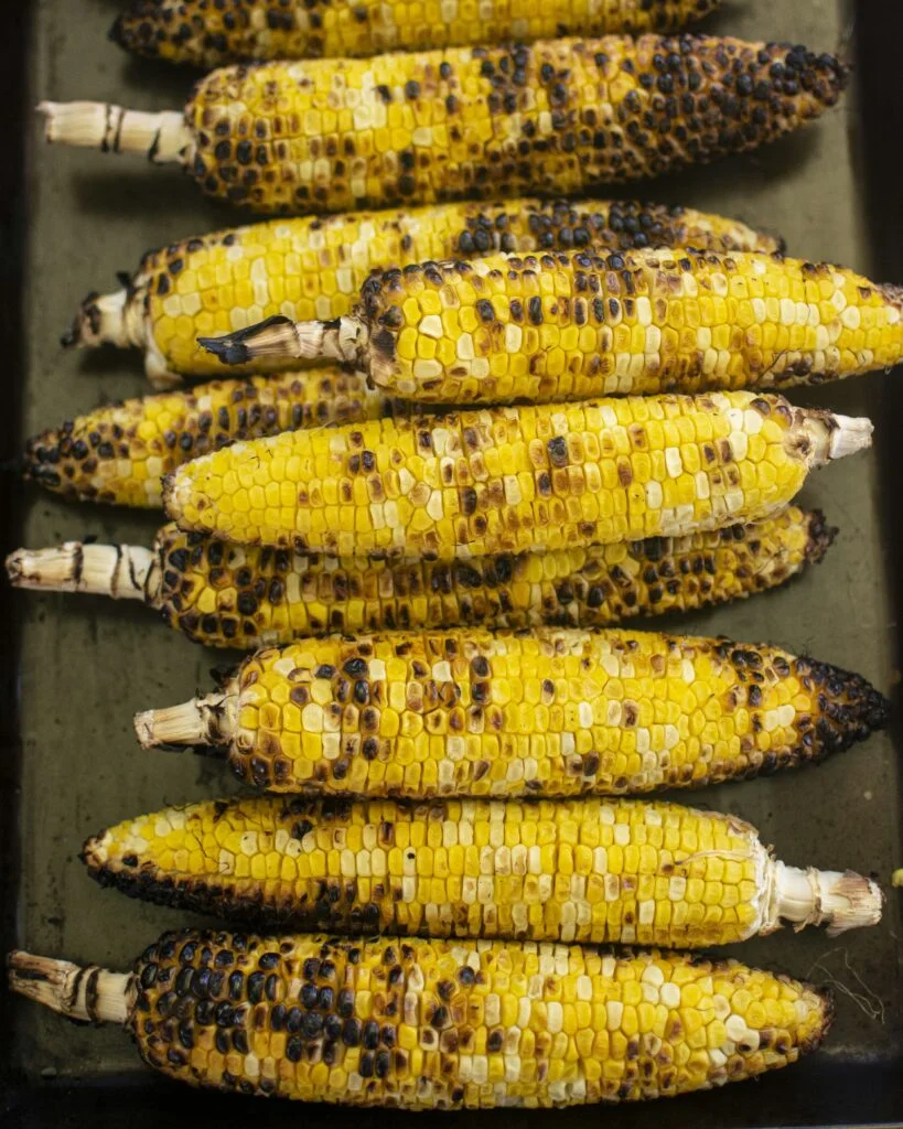 Should I Have Vegetable Skewers For Grilling Vegetables? Should I Have Vegetable Skewers For Grilling Vegetables?