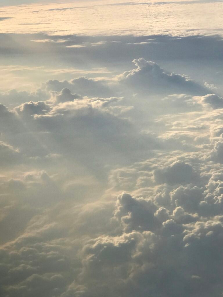 What Is The Function Of The Air Vents On A Barbeque Grill? What Is The Function Of The Air Vents On A Barbeque Grill?