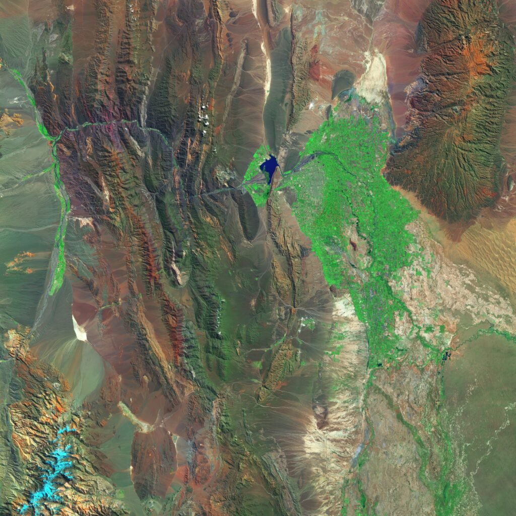 What Is The Role Of The Burner In A Gas Barbeque Grill?