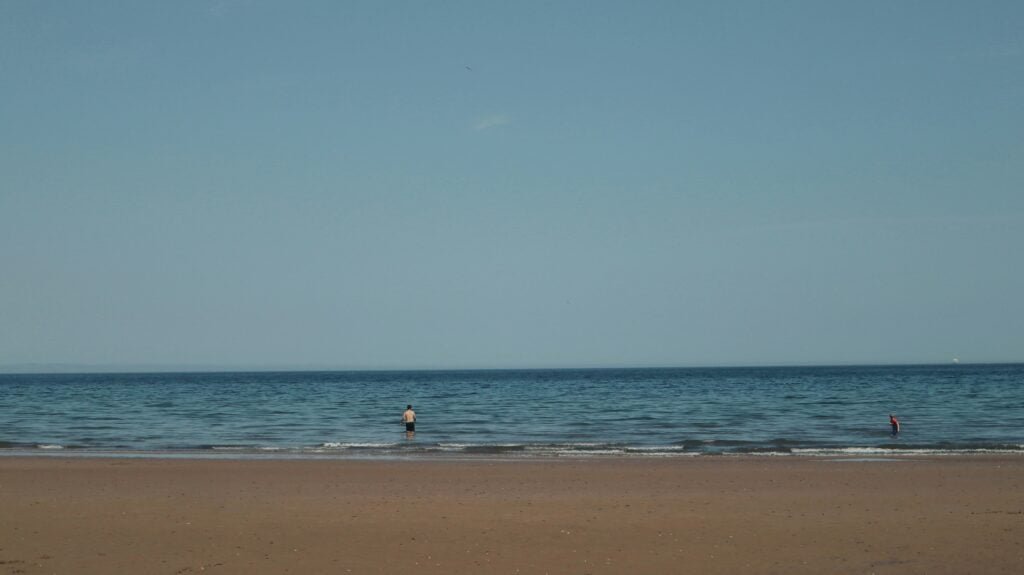 What Tools Are Required For Grilling Portobello Mushrooms? What Tools Are Required For Grilling Portobello Mushrooms?
