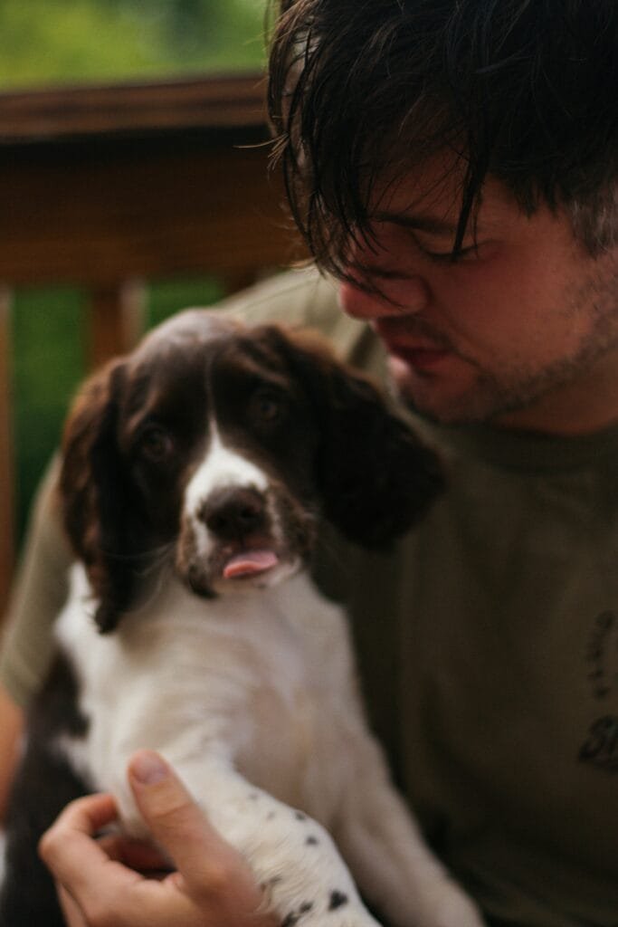 What Is The Function Of A Grill Flavorizer Plate?