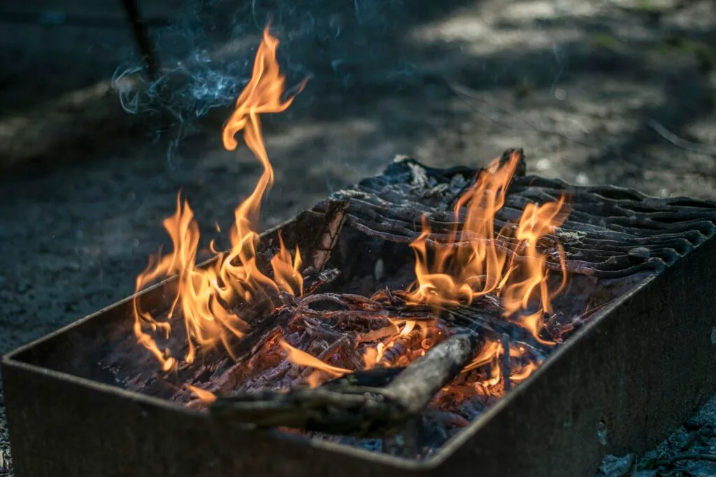 What Accessories Do I Need For A Successful Barbecue Party?