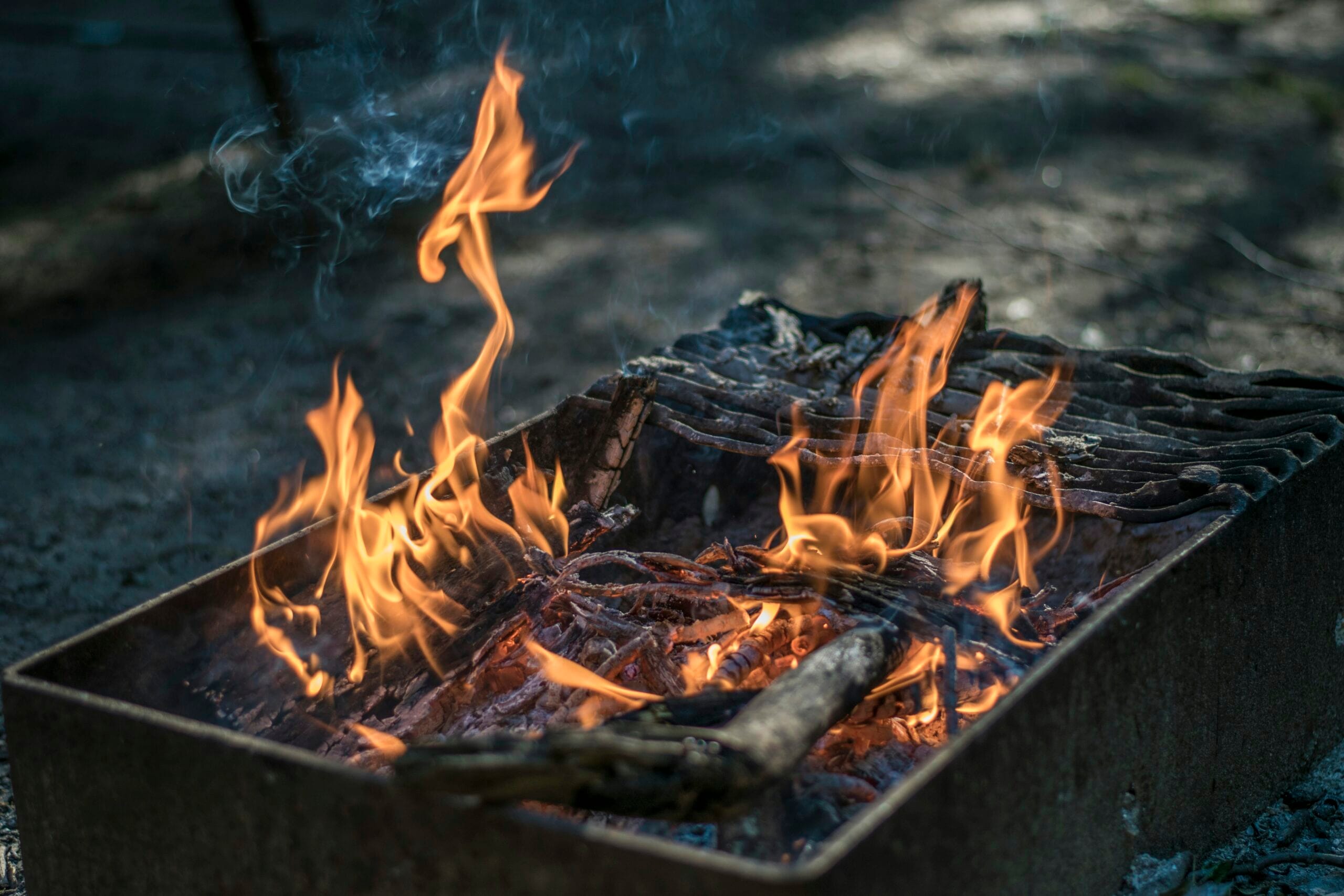 What Accessories Do I Need For A Successful Barbecue Party?