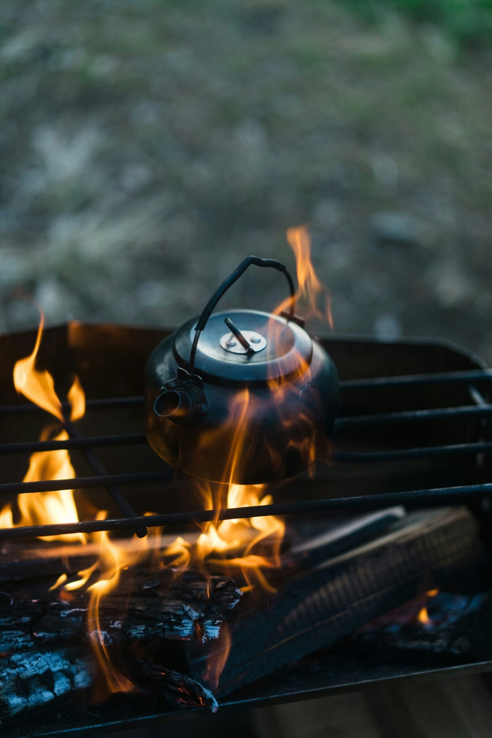 Are There Any Must-have Grill Cooking Utensils For Picnics?