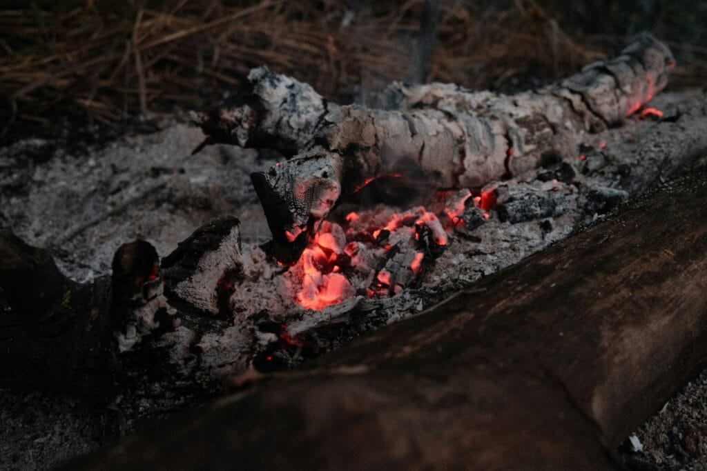 What Is A Wood-fired Grill?