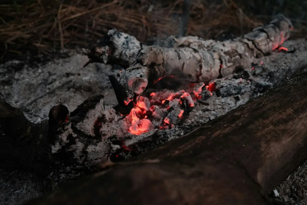What Is A Wood-fired Grill?